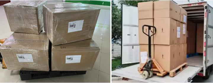 Disposable Skin Stapler deliver goods