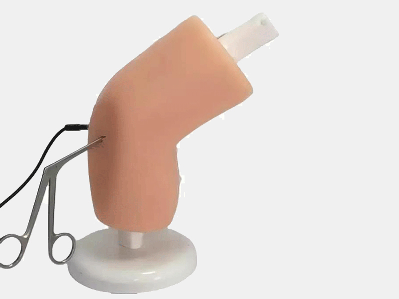knee surgery simulator for hospital teaching tools
